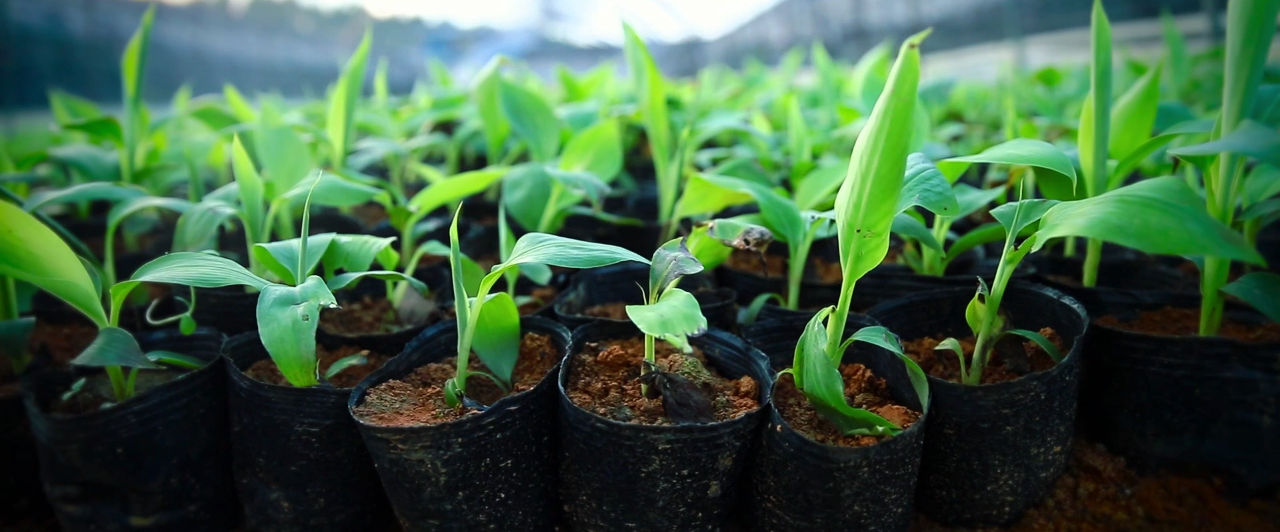 品质金穗企业宣传片拍摄制作完成